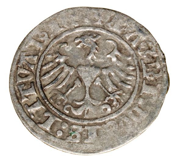 Półgrosz 1513 Zygmunt I Stary Litwa Wilno