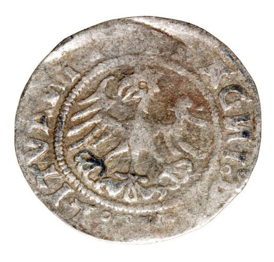 Półgrosz 1520 Zygmunt I Stary Litwa Wilno