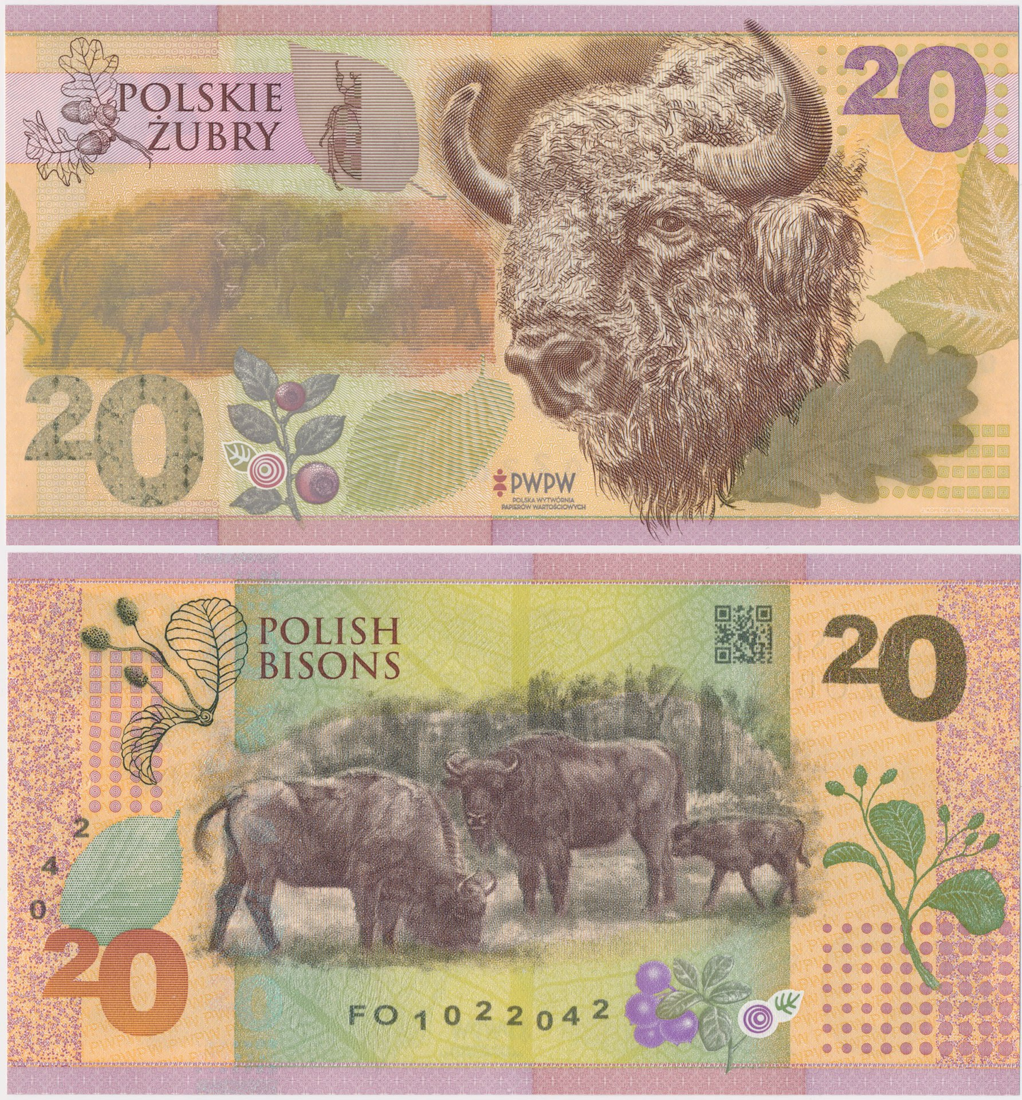 Polskie Żubry - banknot testowy PWPW