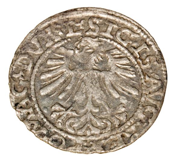 Półgrosz 1562 Zygmunt II August Litwa Wilno