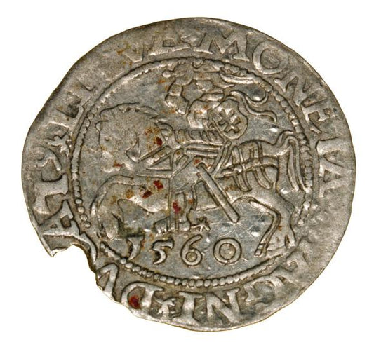 Półgrosz 1560 Zygmunt II August Litwa Wilno