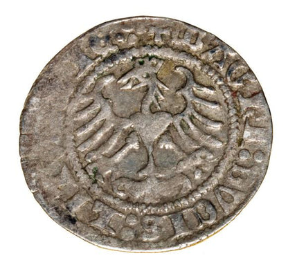 Półgrosz 1513 Zygmunt I Stary Litwa Wilno