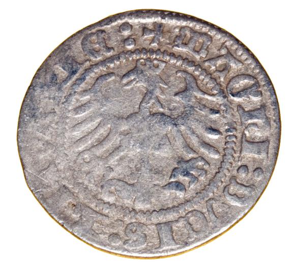 Półgrosz 1513 Zygmunt I Stary Litwa Wilno
