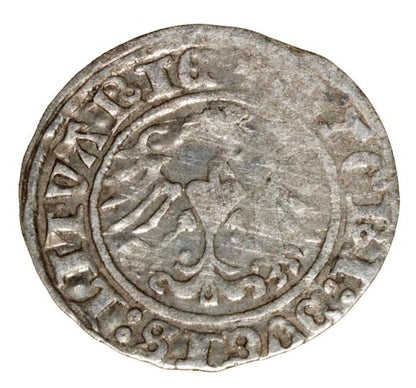 Półgrosz 1513 Zygmunt I Stary Litwa Wilno