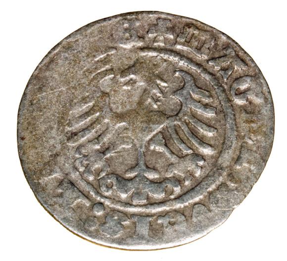 Półgrosz 1513 Zygmunt I Stary Litwa Wilno