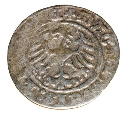 Półgrosz 1513 Zygmunt I Stary Litwa Wilno
