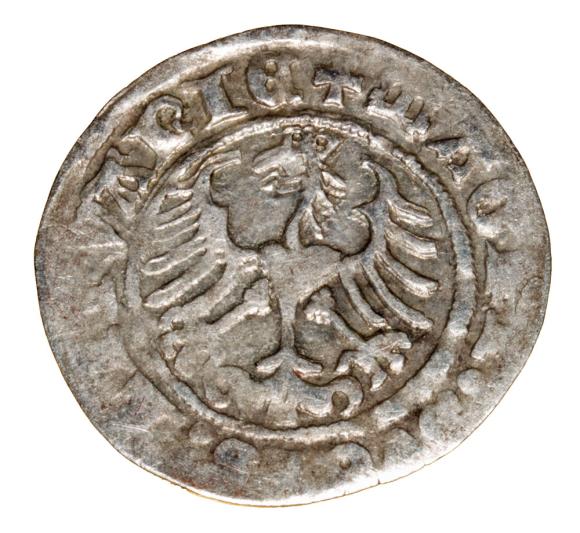 Półgrosz 1513 Zygmunt I Stary Litwa Wilno