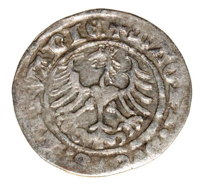 Półgrosz 1513 Zygmunt I Stary Litwa Wilno
