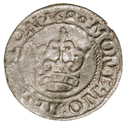 Półgrosz 1620 Zygmunt III Waza Polska Bydgoszcz